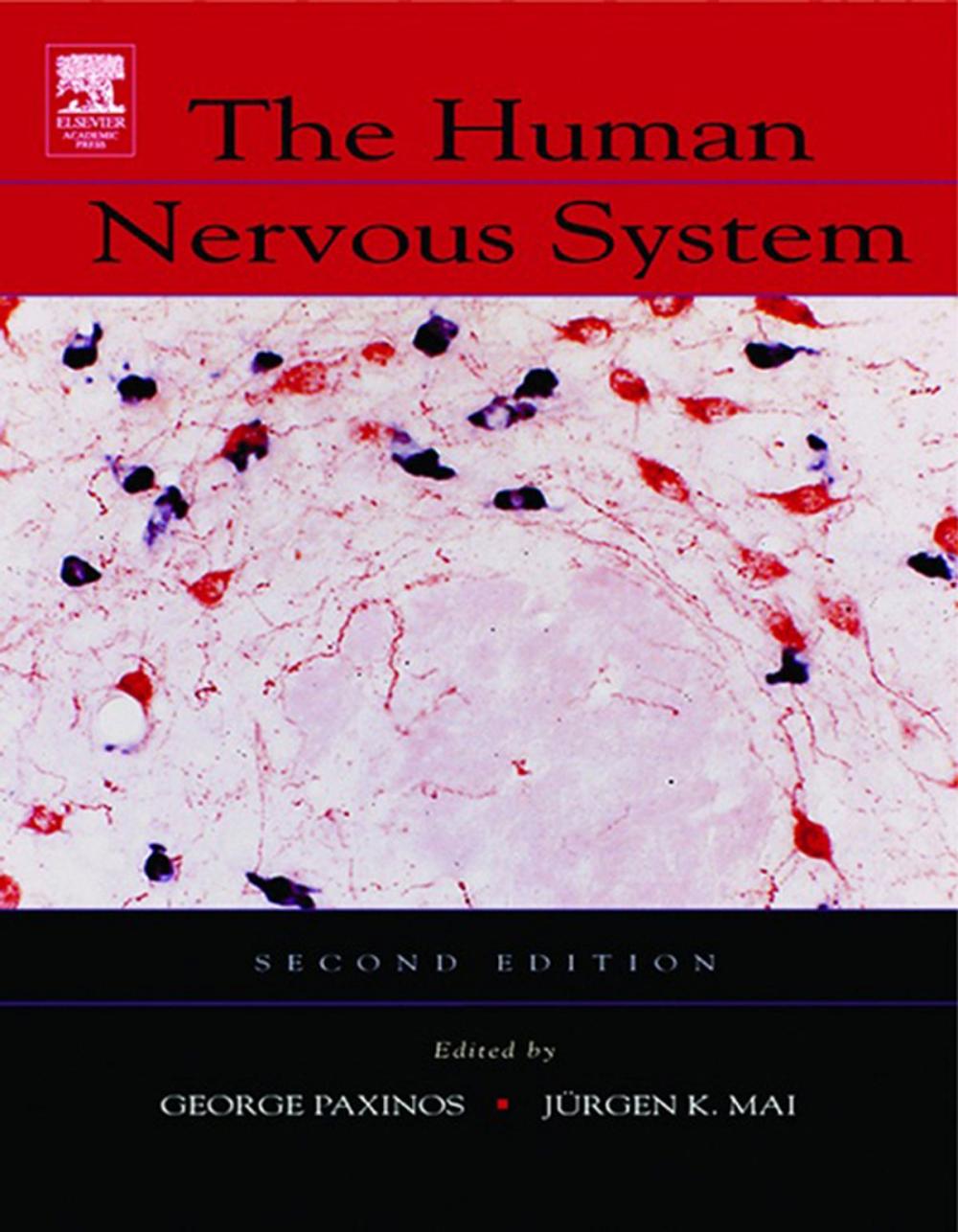 Big bigCover of The Human Nervous System