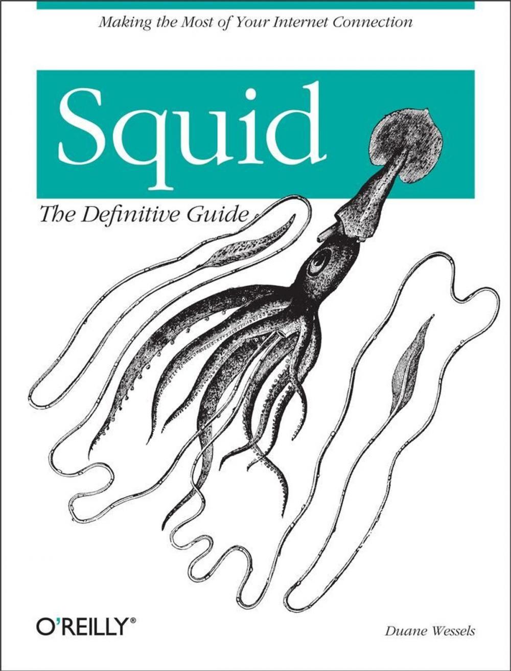 Big bigCover of Squid: The Definitive Guide