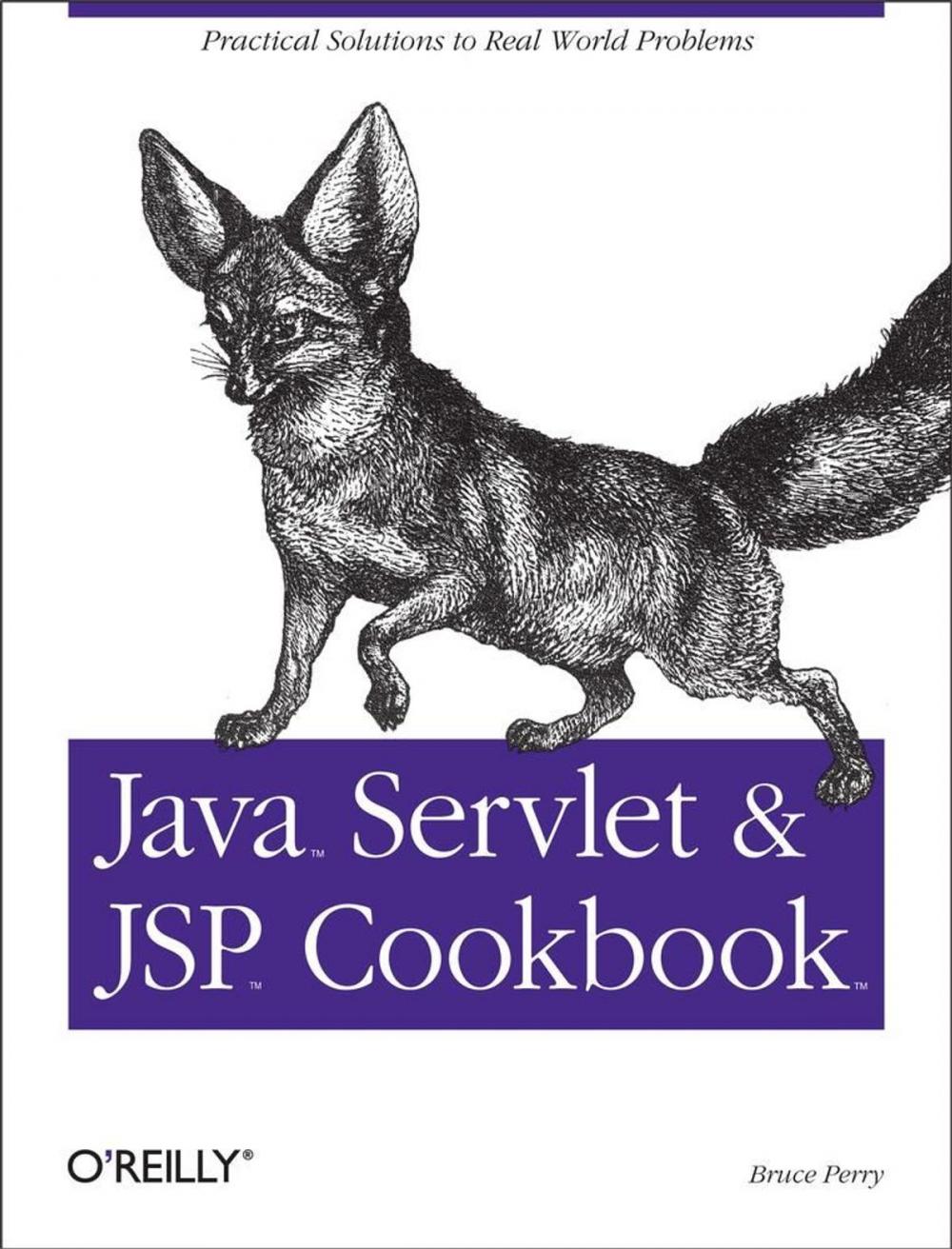 Big bigCover of Java Servlet & JSP Cookbook