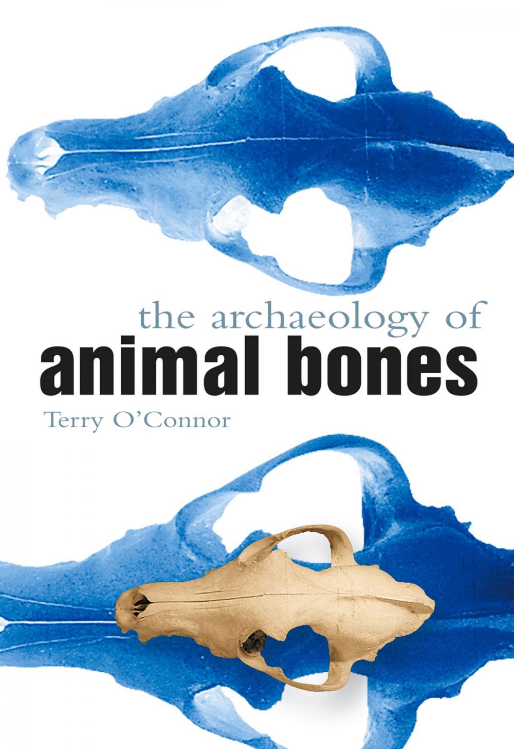 Big bigCover of Archaeology of Animal Bones