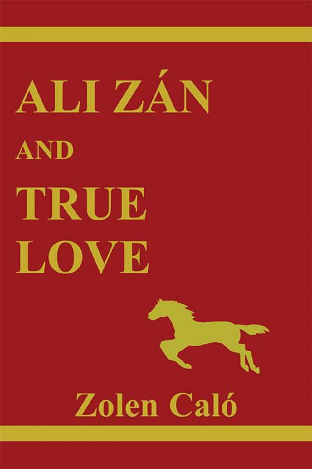 Big bigCover of Ali Zán and True Love