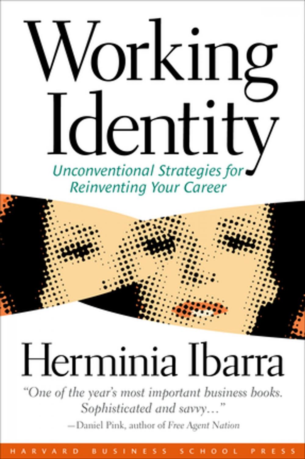 Big bigCover of Working Identity