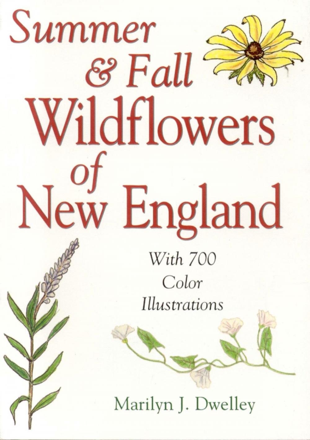 Big bigCover of Summer & Fall Wildflowers of New England