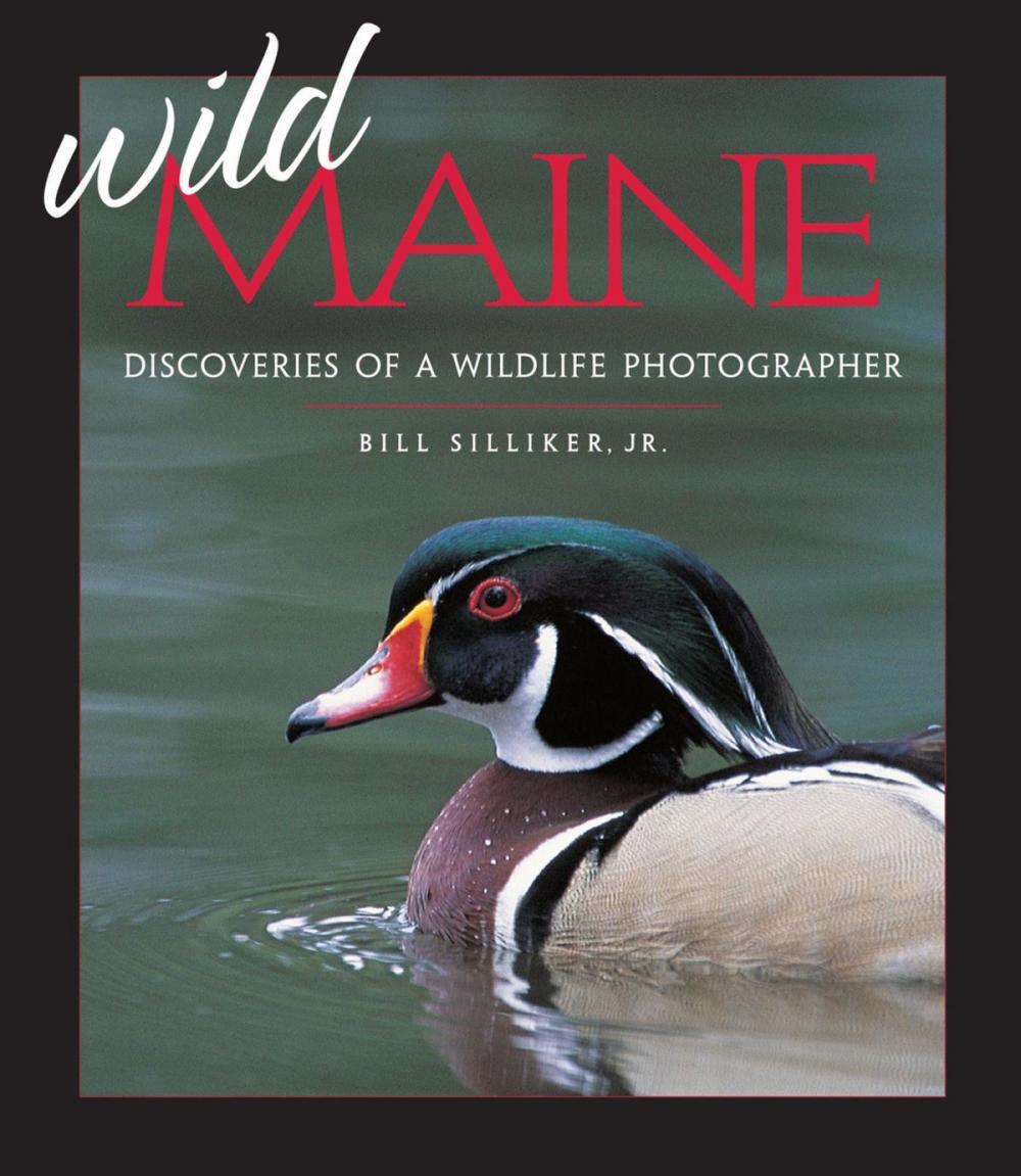 Big bigCover of Wild Maine