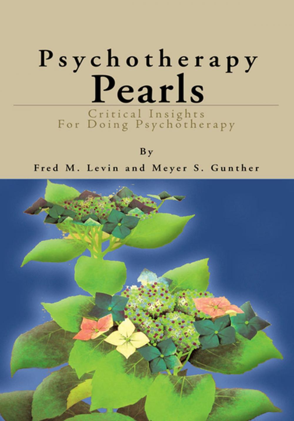 Big bigCover of Psychotherapy Pearls