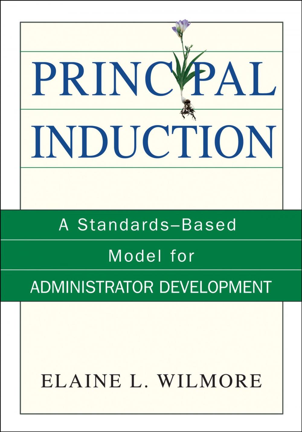 Big bigCover of Principal Induction