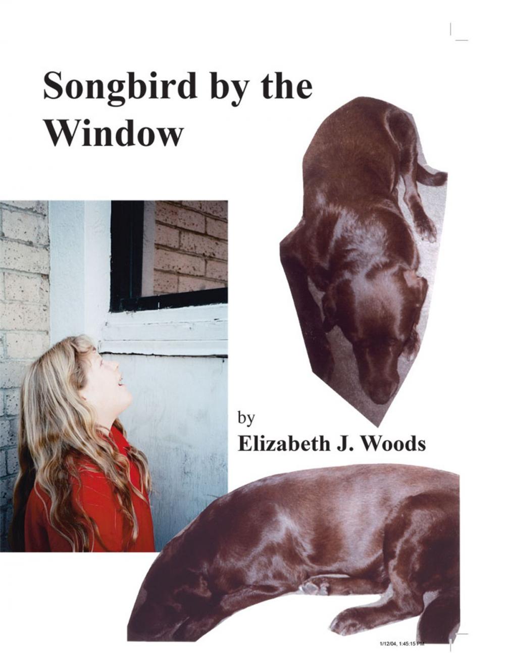 Big bigCover of Songbird by the Window