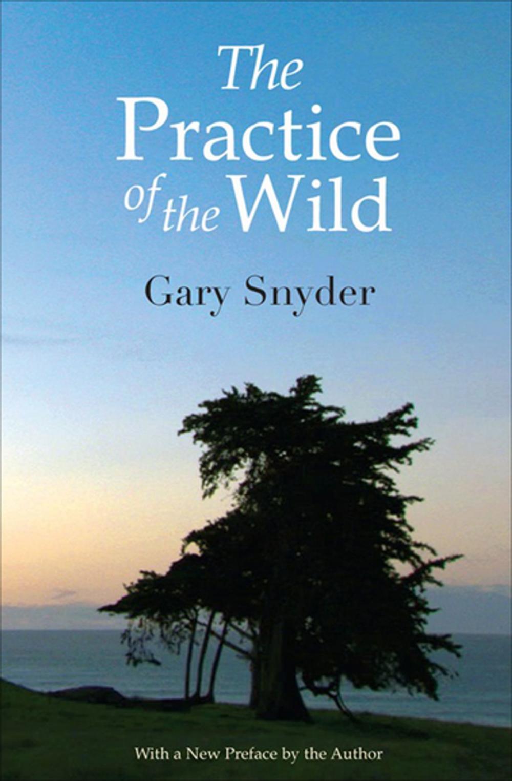 Big bigCover of The Practice of the Wild