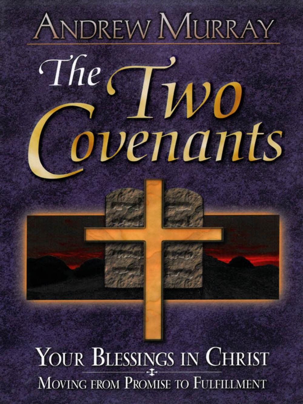 Big bigCover of The Two Covenants