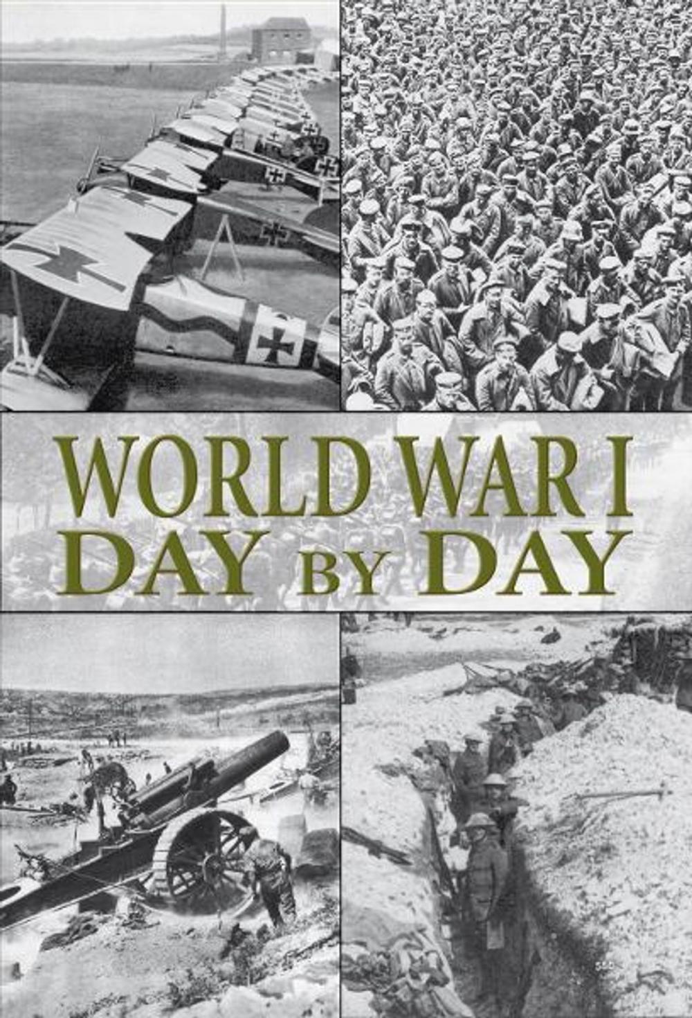 Big bigCover of World War I Day by Day