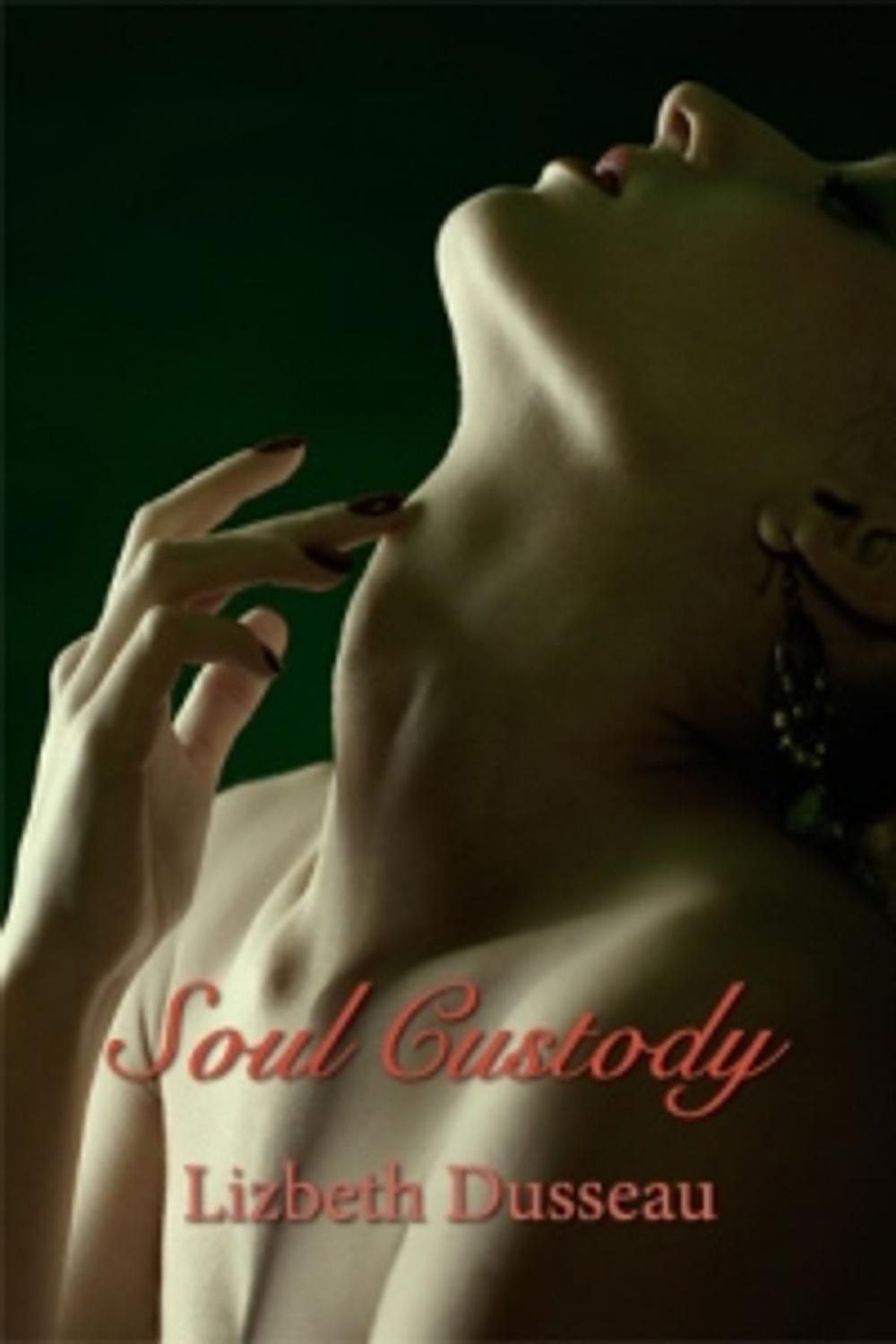 Big bigCover of Soul Custody