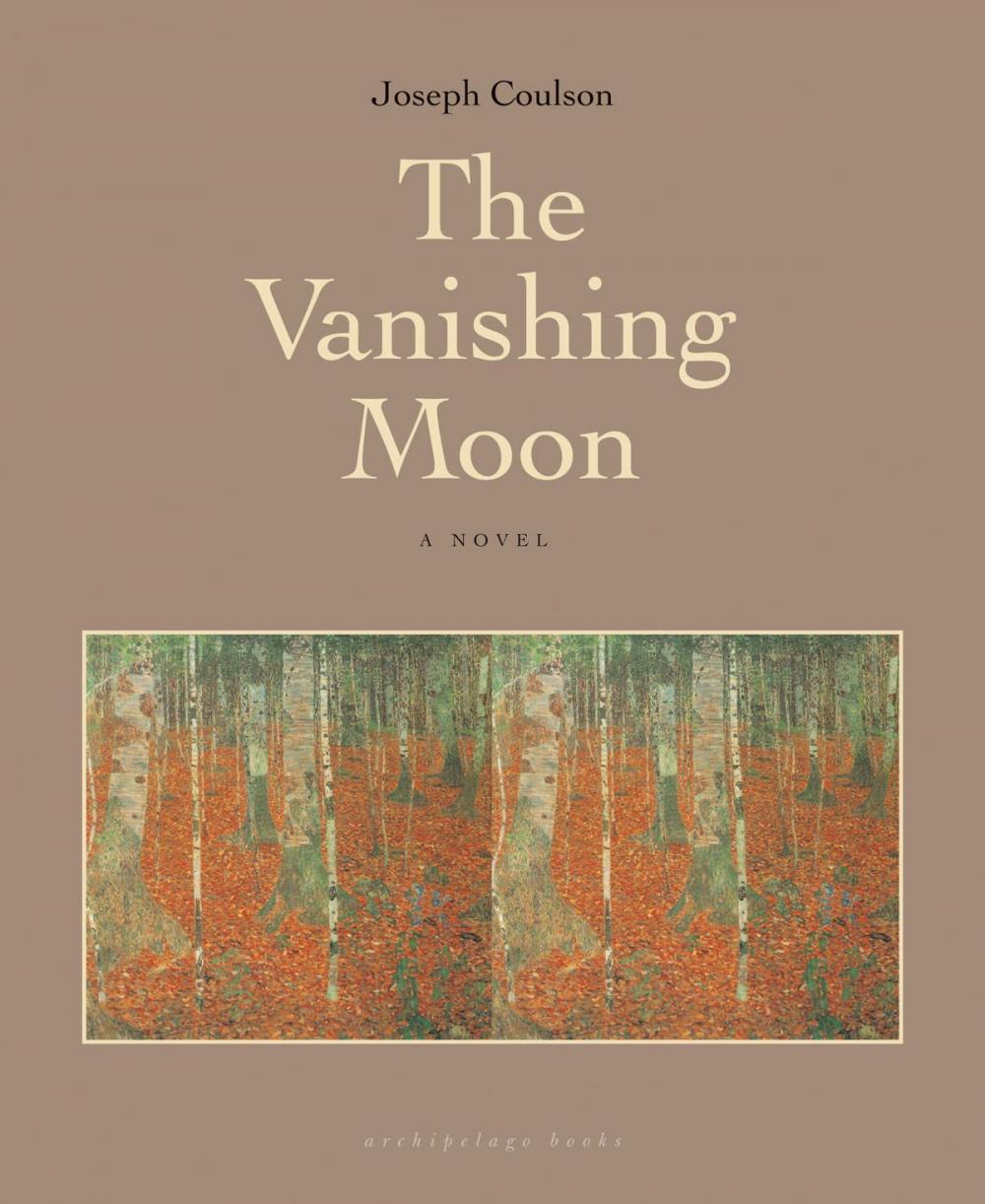 Big bigCover of The Vanishing Moon