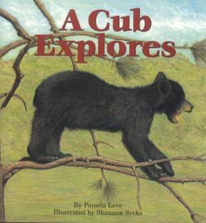 Cover of the book A Cub Explores by Karel Hayes