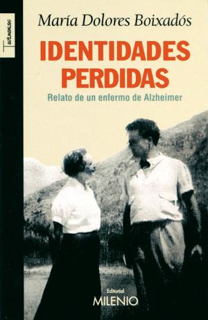 bigCover of the book Identidades perdidas by 