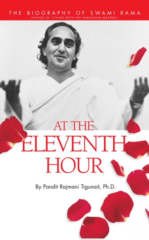 Cover of the book At the Eleventh Hour by Pandit Rajmani Tigunait, Himalayan Institute