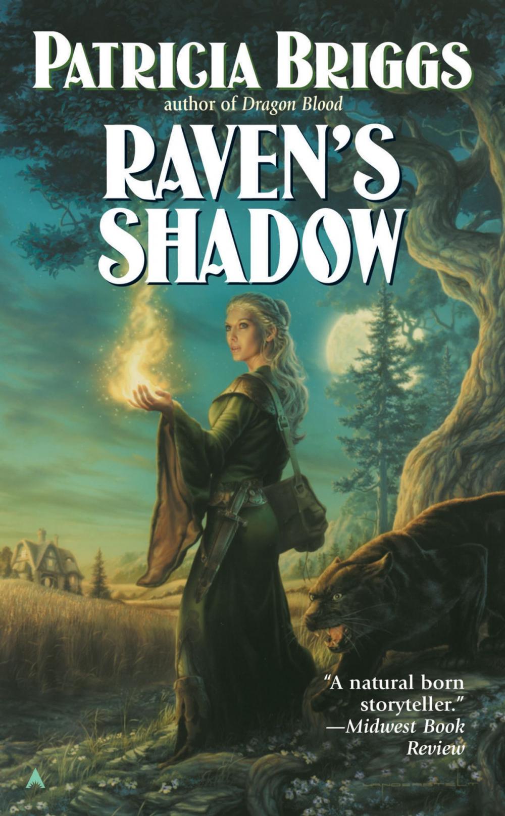 Big bigCover of Raven's Shadow