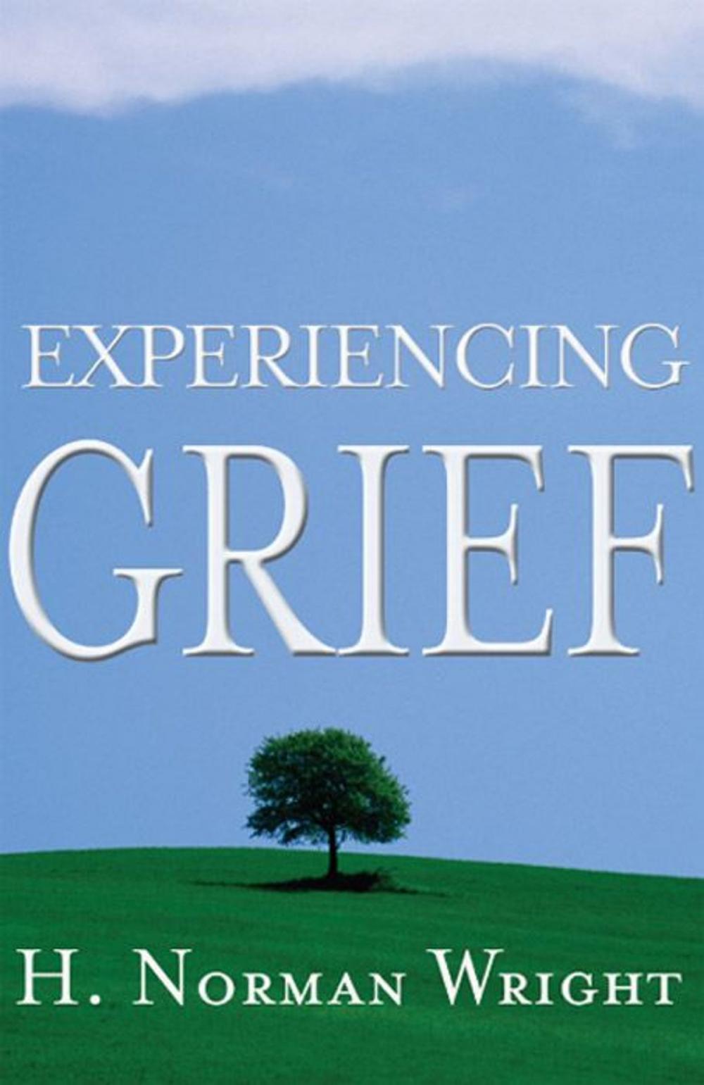 Big bigCover of Experiencing Grief