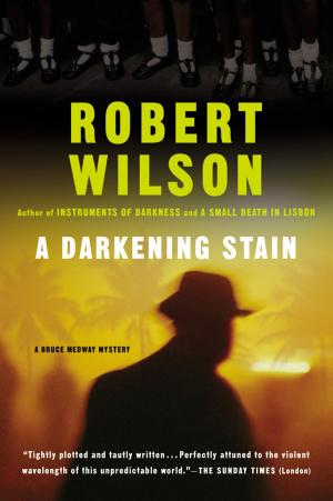Cover of the book A Darkening Stain by Davide Cali, Yannick Robert