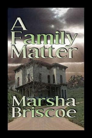 Cover of the book A Family Matter by Sean E Thomas