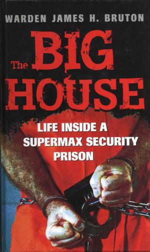 Cover of the book The Big House by Samantha Johnson, Daniel Johnson