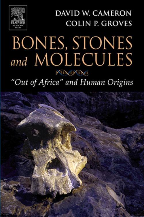 Cover of the book Bones, Stones and Molecules by David W. Cameron, Colin P. Groves, Elsevier Science