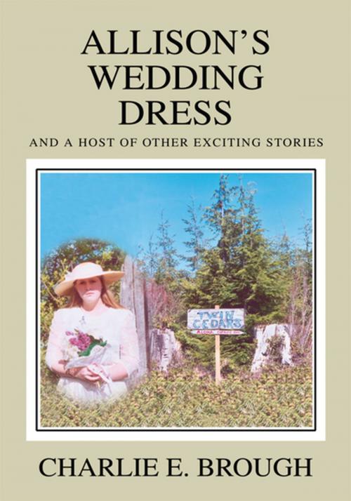 Cover of the book Allison's Wedding Dress by Charlie E. Brough, iUniverse