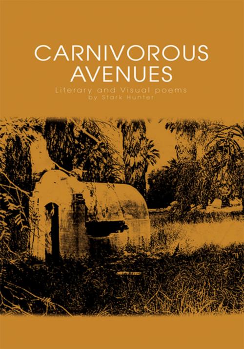 Cover of the book Carnivorous Avenues by Stark Hunter, Xlibris US