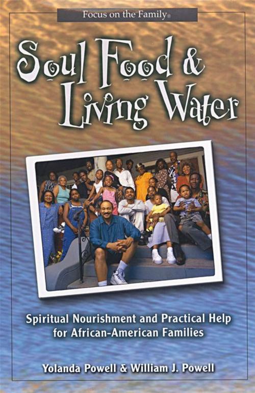 Cover of the book Soul Food And Living Water: Spiritual Nourishment And Practical Help For African American Families by Powell, Yolanda, and Powell, William J., Moody Press