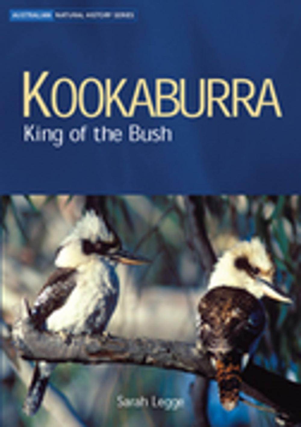 Big bigCover of Kookaburra