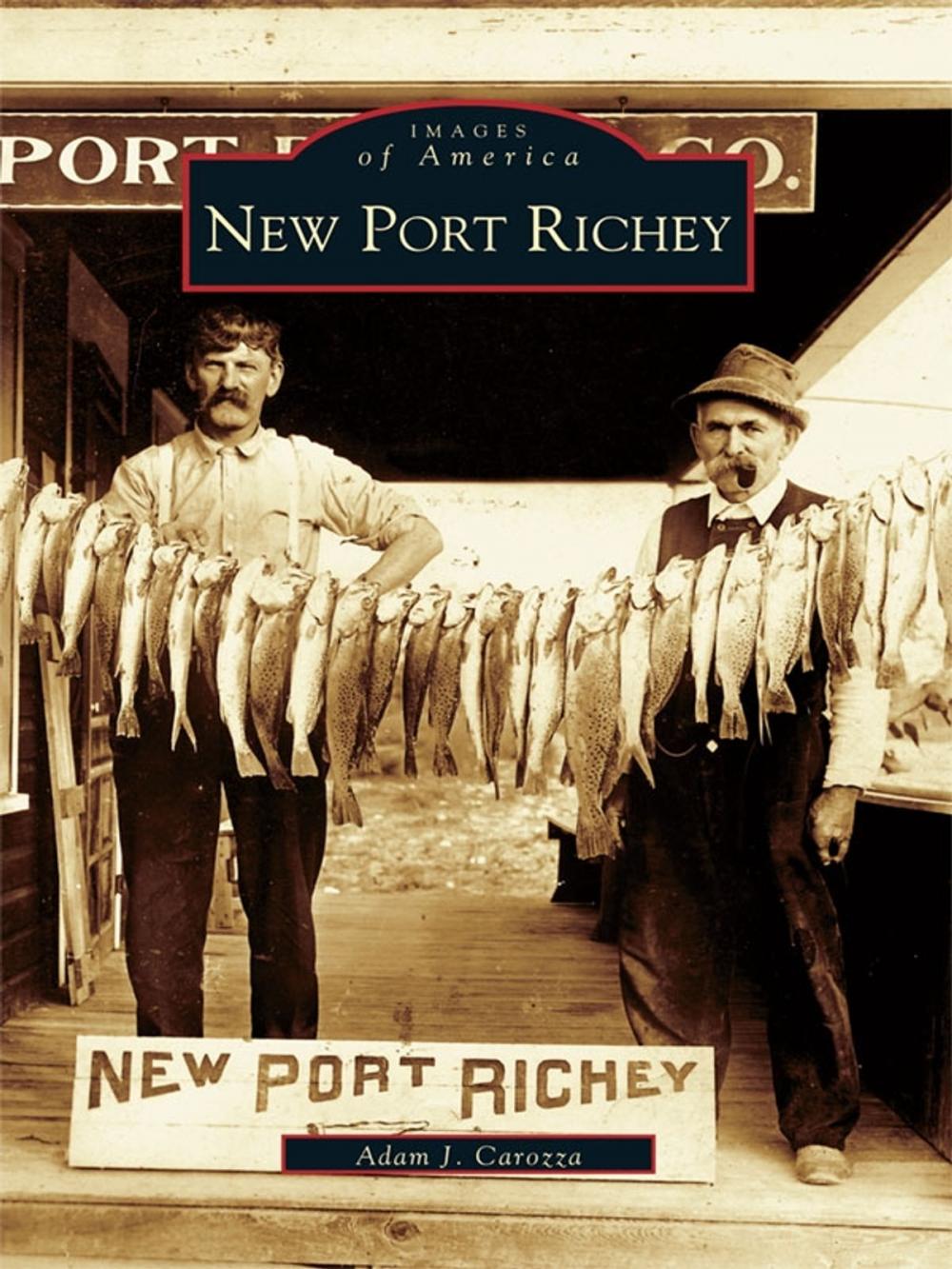 Big bigCover of New Port Richey