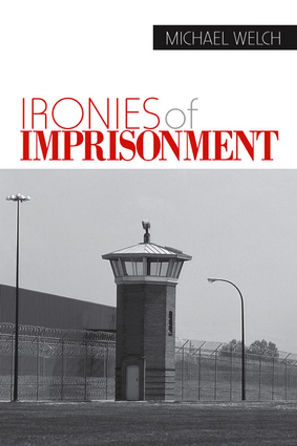 Big bigCover of Ironies of Imprisonment