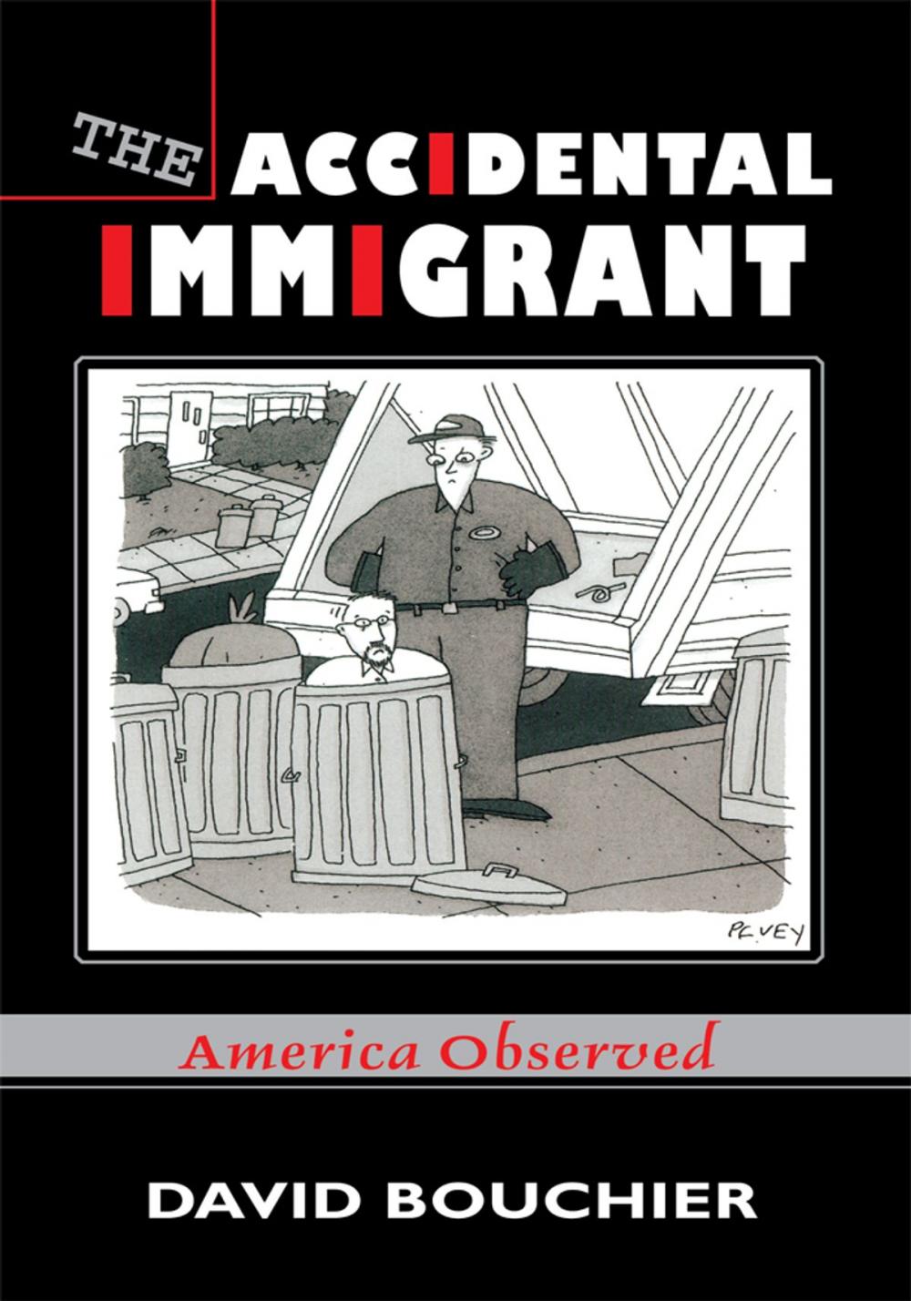 Big bigCover of The Accidental Immigrant