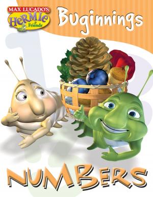Cover of the book Numbers by Robert Girard