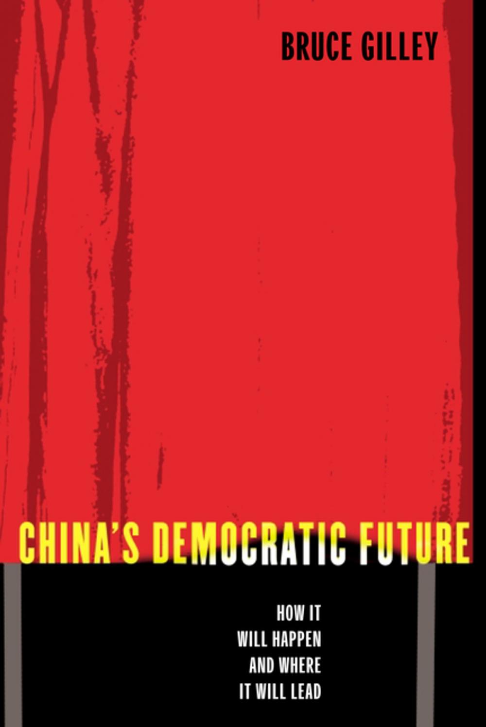 Big bigCover of China's Democratic Future