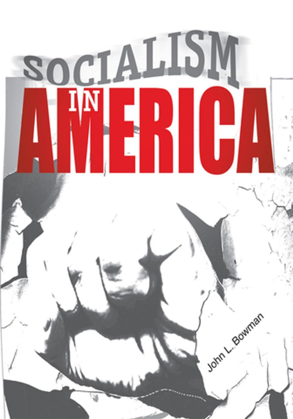 Big bigCover of Socialism in America