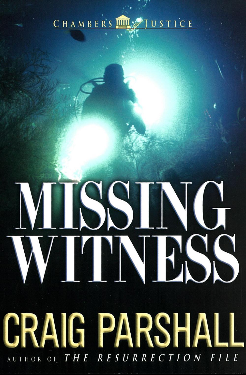 Big bigCover of Missing Witness