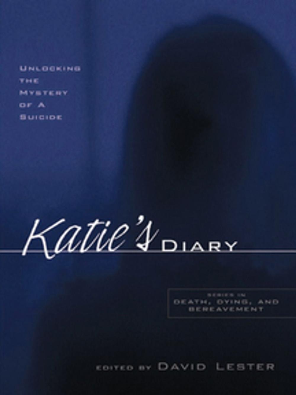 Big bigCover of Katie's Diary