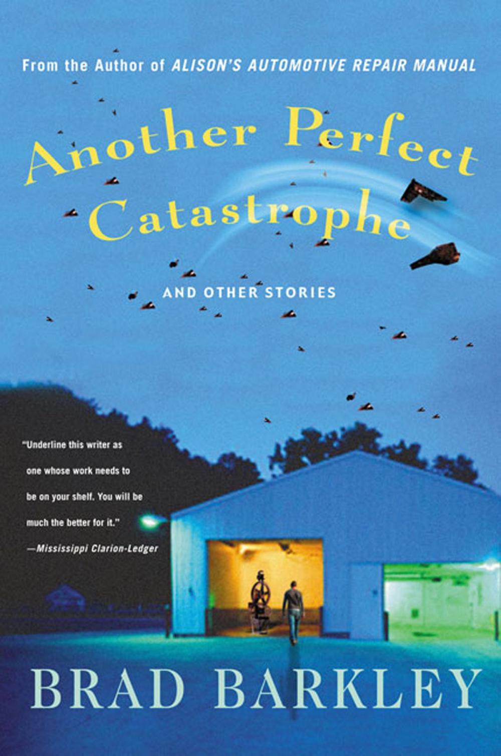 Big bigCover of Another Perfect Catastrophe