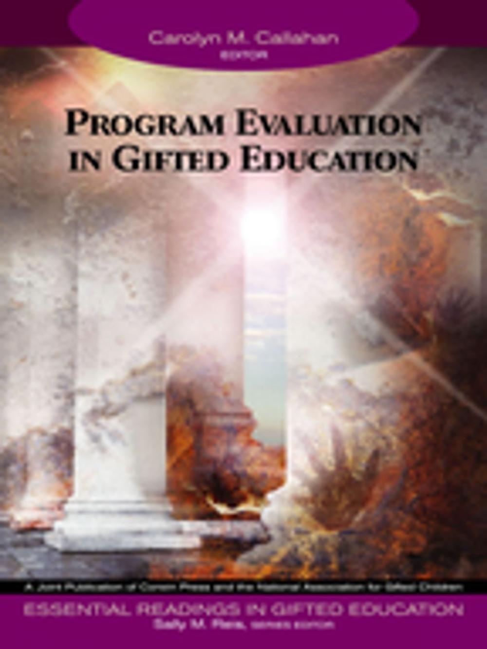 Big bigCover of Program Evaluation in Gifted Education