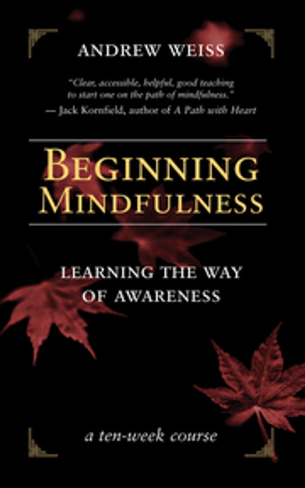 Big bigCover of Beginning Mindfulness