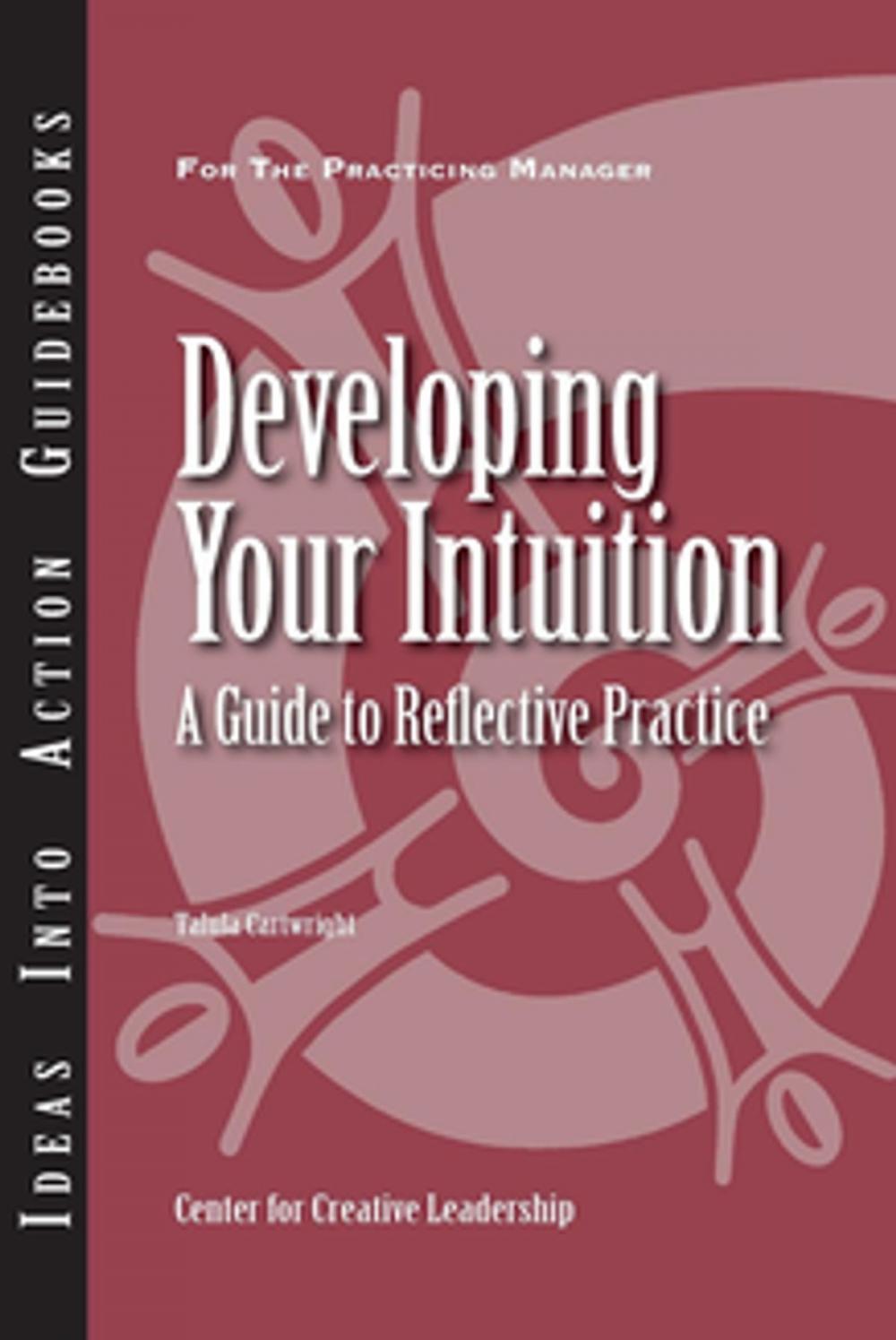 Big bigCover of Developing Your Intuition: A Guide to Reflective Practice
