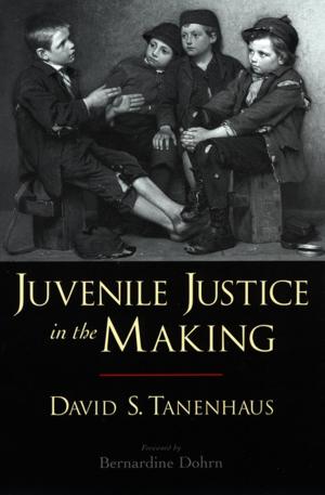 Cover of the book Juvenile Justice in the Making by Martin H., Chiron  Centre Anonymous