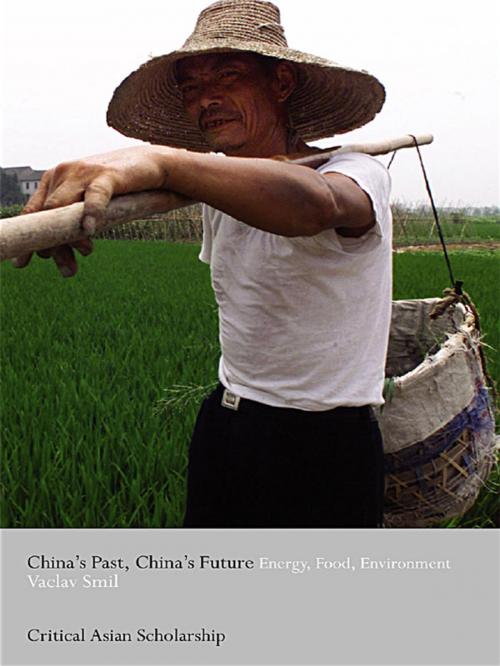 Cover of the book China's Past, China's Future by Vaclav Smil, Taylor and Francis