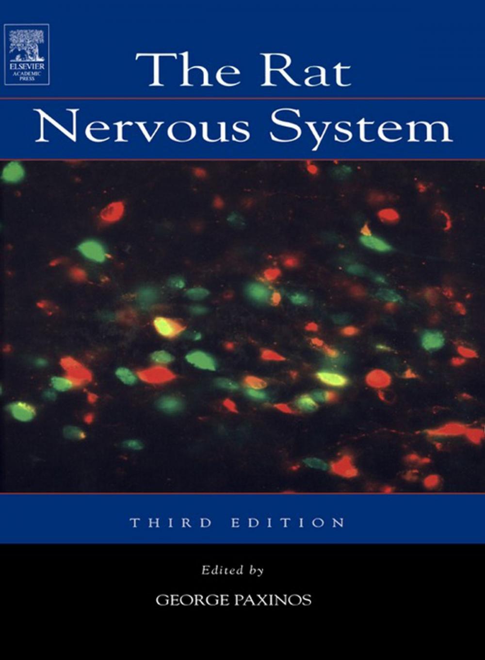 Big bigCover of The Rat Nervous System