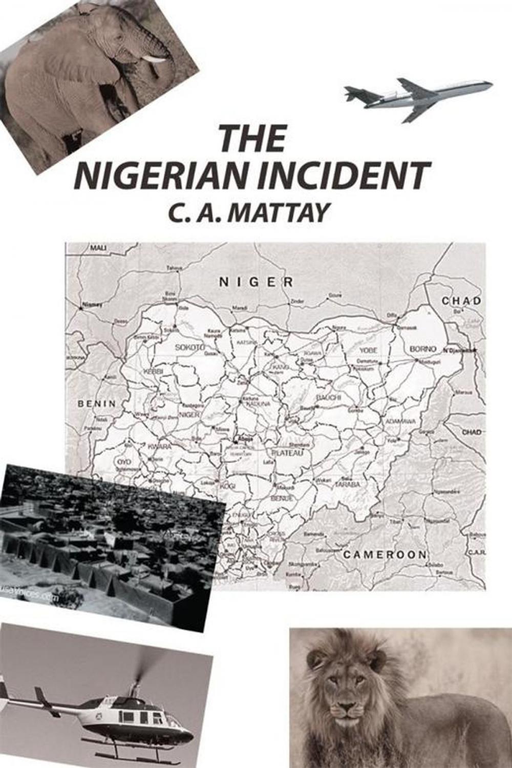 Big bigCover of The Nigerian Incident