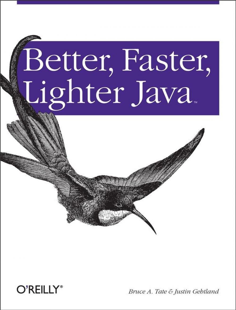 Big bigCover of Better, Faster, Lighter Java