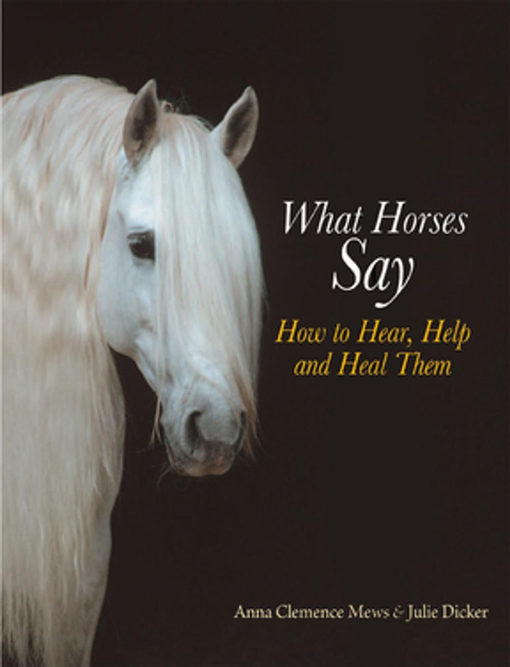 Big bigCover of What Horses Say