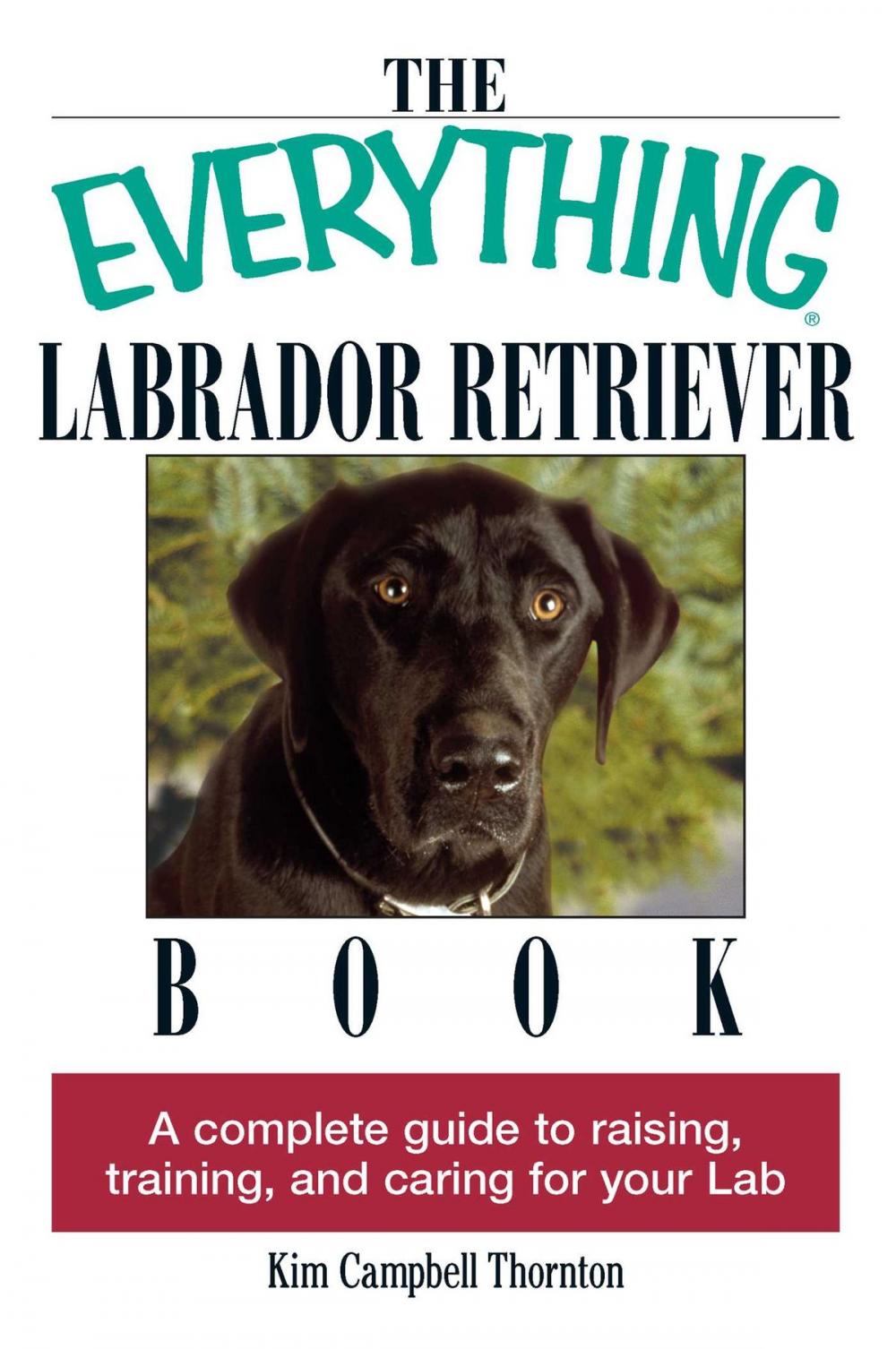 Big bigCover of The Everything Labrador Retriever Book