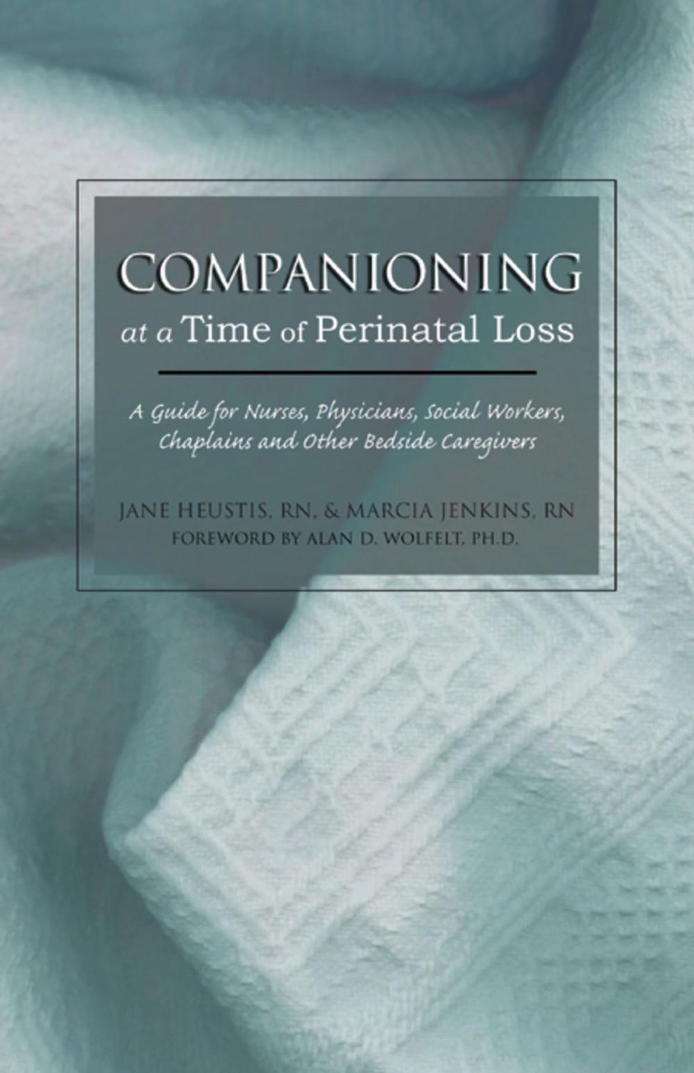 Big bigCover of Companioning at a Time of Perinatal Loss