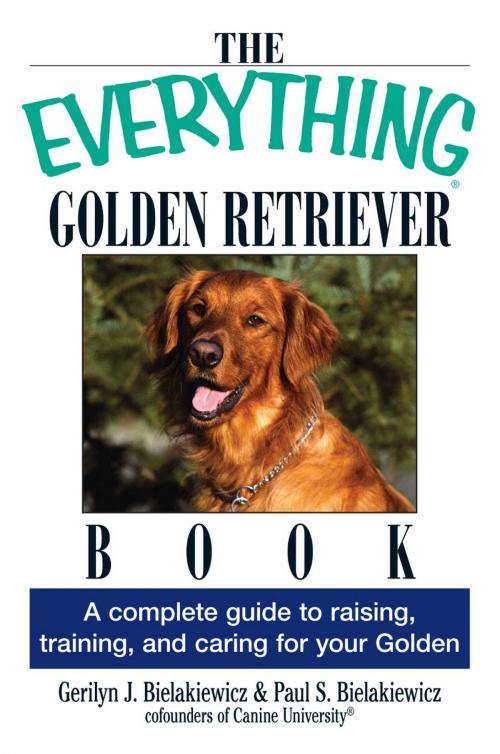 Cover of the book The Everything Golden Retriever Book by Gerilyn J Bielakiewicz, Paul S. Bielakiewicz, Adams Media